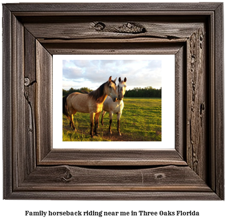 family horseback riding near me in Three Oaks, Florida